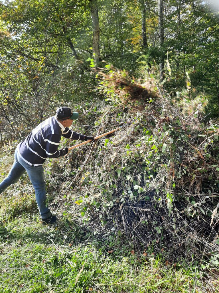 Contreag Mitarbeiter beim Arbeitseinsatz im Naturpark Schaffhausen