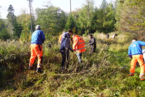 Contreag Mitarbeiter beim Arbeitseinsatz im Naturpark Schaffhausen