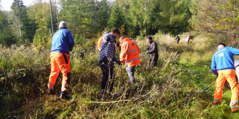 Contreag Mitarbeiter beim Arbeitseinsatz im Naturpark Schaffhausen