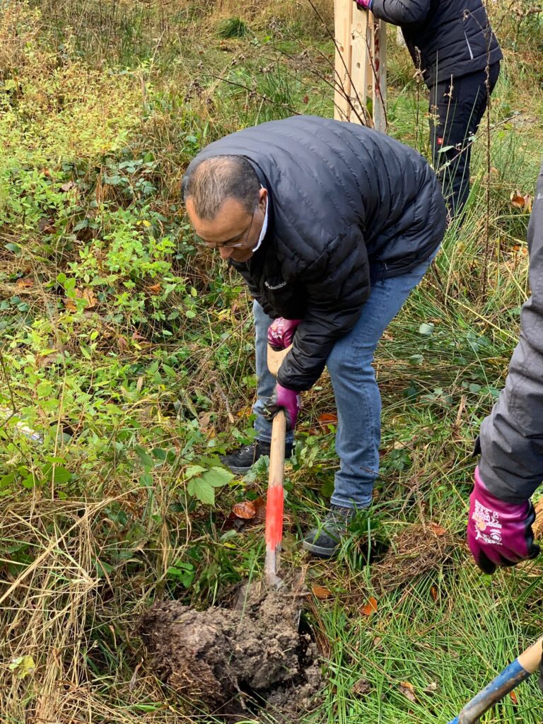 Contreag Mitarbeiter beim Bäume pflanzen 2021