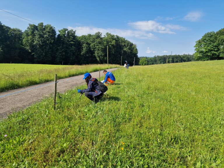 Contreag Mitarbeiter beim Umwelteinsatz am Grüthof 2024