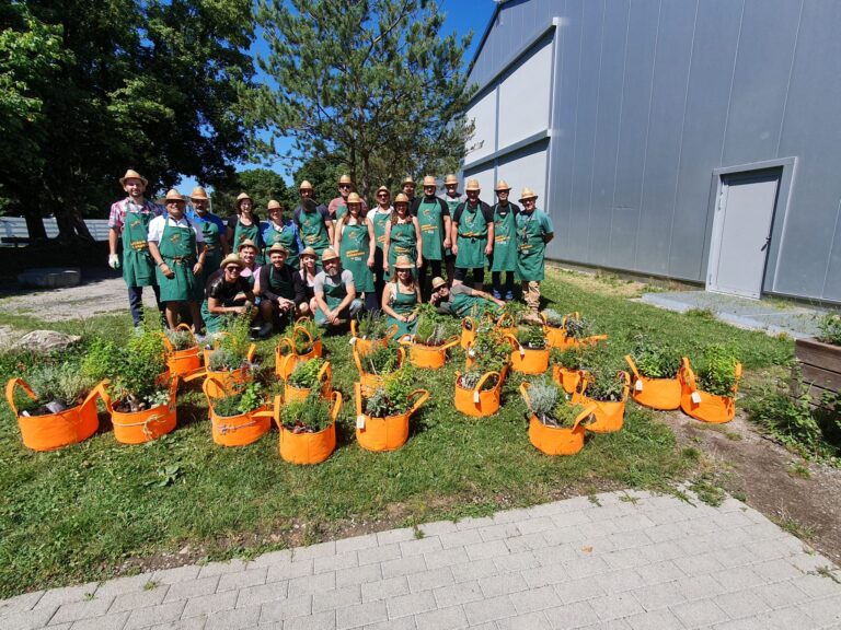 Mitarbeiter beim Kräuter pflanzen am Sommer-Teamevent 2022