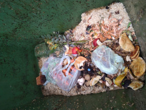 schmutziger Container im Sommer mit Biomüll am Boden
