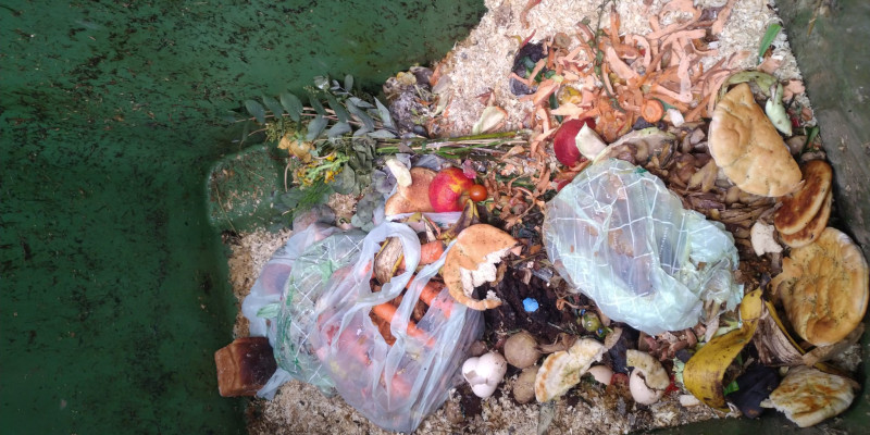 schmutziger Container im Sommer mit Biomüll am Boden