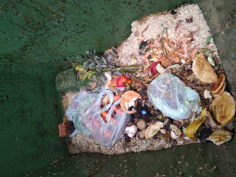 Sommer im Container – ein unterschätztes Hygieneproblem schmutziger Container im Sommer mit Biomüll am Boden